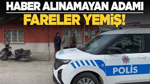 KENDİSİNDEN HABER ALINAMAYAN ADAMI FARELER YEMİŞ