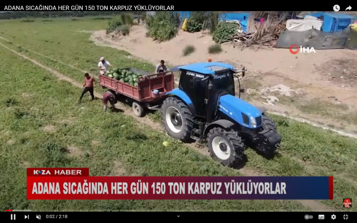 ADANA SICAĞINDA HER GÜN 150 TON KARPUZ YÜKLÜYORLAR