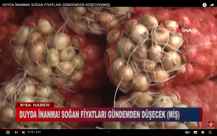 DUYDA İNANMA! SOĞAN FİYATLARI GÜNDEMDEN DÜŞECEK(MİŞ)