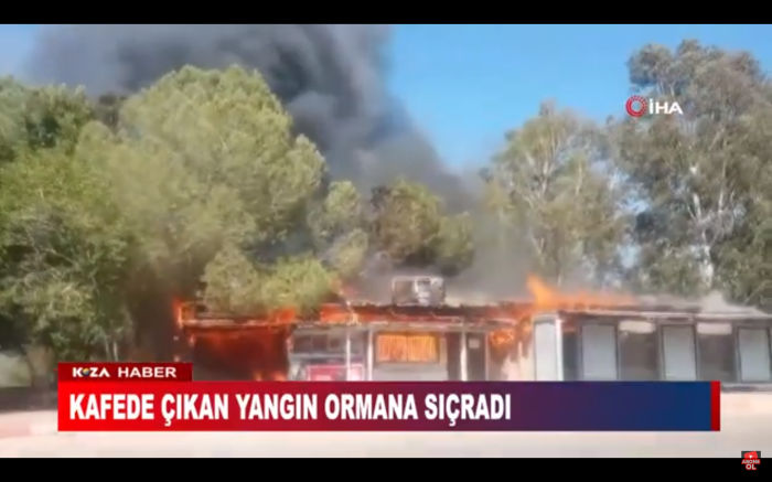 KAFEDE ÇIKAN YANGIN ORMANA SIÇRADI