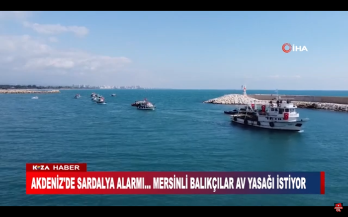 AKDENİZ'DE SARDALYA ALARMI... MERSİNLİ BALIKÇILAR AV YASAĞI İSTİYOR