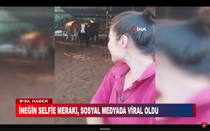 İNEĞİN SELFİE MERAKI, SOSYAL MEDYADA VİRAL OLDU