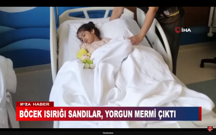 BÖCEK ISIRIĞI SANDILAR, YORGUN MERMİ ÇIKTI