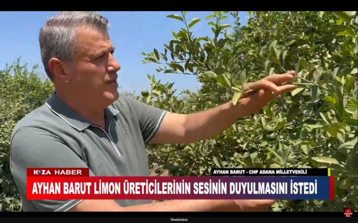 AYHAN BARUT LİMON ÜRETİCİLERİNİN SESİNİN DUYULMASINI İSTEDİ