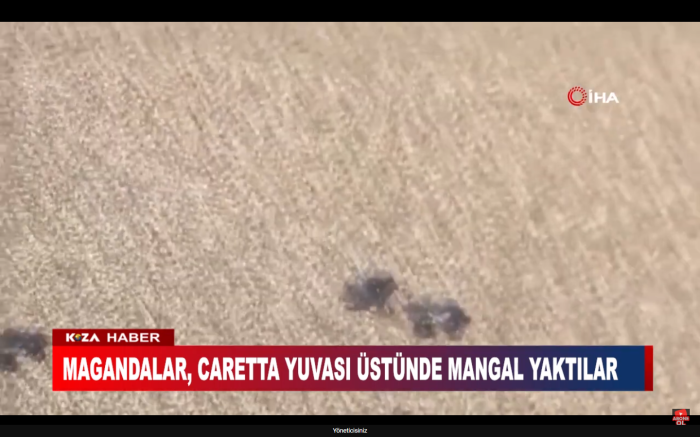 MAGANDALAR, CARETTA YUVASI ÜSTÜNDE MANGAL YAKTILAR