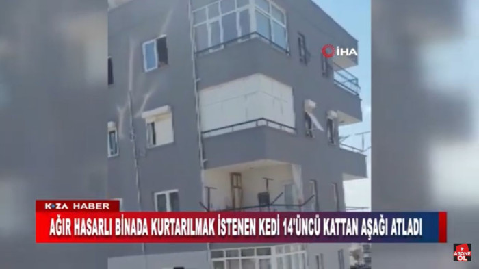 AĞIR HASARLI BİNADA KURTARILMAK İSTENEN KEDİ 14'ÜNCÜ KATTAN AŞAĞI ATLADI